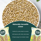 GRAIN ESSENCE Jowar (Sorghum) Whole | Gluten-Free | High Fibre & Protein| Heart Healthy (1kg) Sorghum (1000 g) - view 5