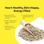GRAIN ESSENCE Grain Essence Premium Sunflower Seeds | 100% Natural, Raw & Unroasted Sunflower Seeds (100 g) - view 4