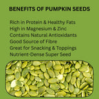 GRAIN ESSENCE Chia Seeds + Pumpkin Seeds Combo | Omega 3 Rich | High Fibre | Magnesium Rich Chia Seeds, Pumpkin Seeds (2 x 100 g) - view 3