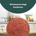 GRAIN ESSENCE Ragi (Finger Millet) | Calcium Rich, High Fibre, Iron Rich | Gluten-Free (1 kg) Finger Millet (1000 g) - view 6