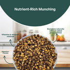 GRAIN ESSENCE Brown Bengal Gram (Whole) (Roasted Whole Pulses) (500 g) - view 6